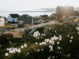 brown and blue wooden houses